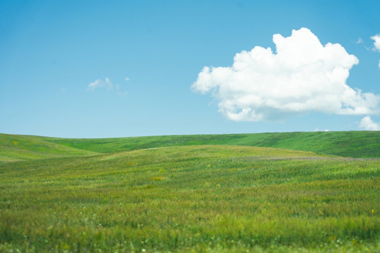 Digital Minimalism Tools and Strategies for Intentional Online Consumption and Reduced Digital Clutter